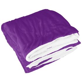 Fleece Throw Blanket Warm Soft Flannel Bed Cover Cuddly Cozy Sofa Travel Car Blanket w/ Queen King Throw Size Optional (Color: Plum, size: QUEEN)